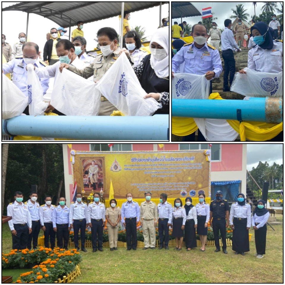 วันที่ 29 กรกฎาคม 2564 : นายธีระพงษ์ อภัยภักดี ผู้อำนวยการศูนย์บริหารจัดการด่านตรวจประมงเขต 9 (สตูล) พร้อมข้าราชการในสังกัด ร่วมพิธีปล่อยพันธุ์สัตว์น้ำเฉลิมพระเกียรติ พระบาทสมเด็จพระปรเมนทรรามาธิบดี ฯ เนื่องในวันเฉลิมพระชนมพรรษา 69 พรรษา ณ บริเวณสวนสาธารณะเทศบาลตำบลกำแพง..คลิก