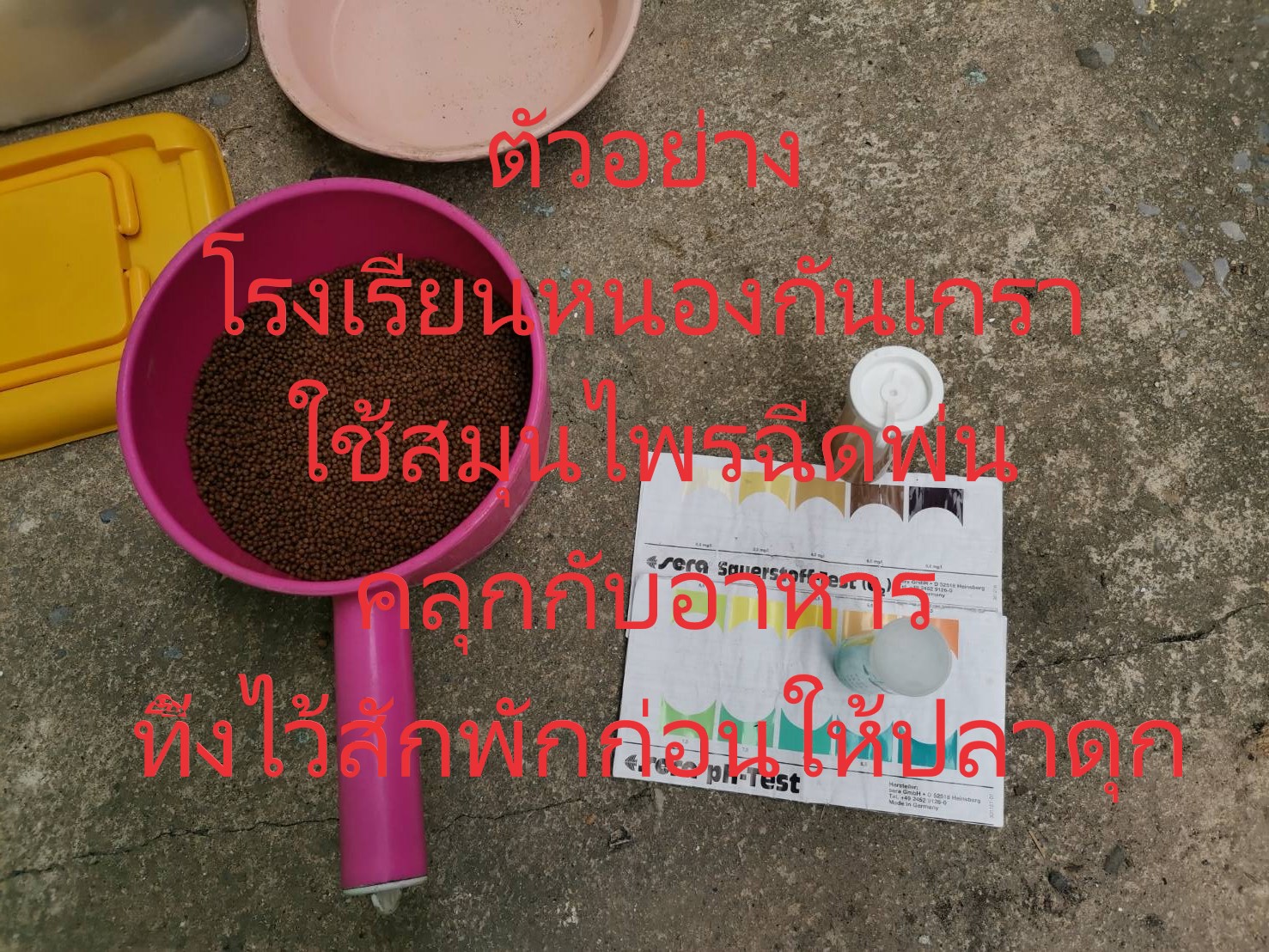 ตัวอย่าง การใช้สมุนไพร ฉีดพ่น คลุกกับอาหาร ทิ้งไว้สักพักก่อนให้ปลาดุก