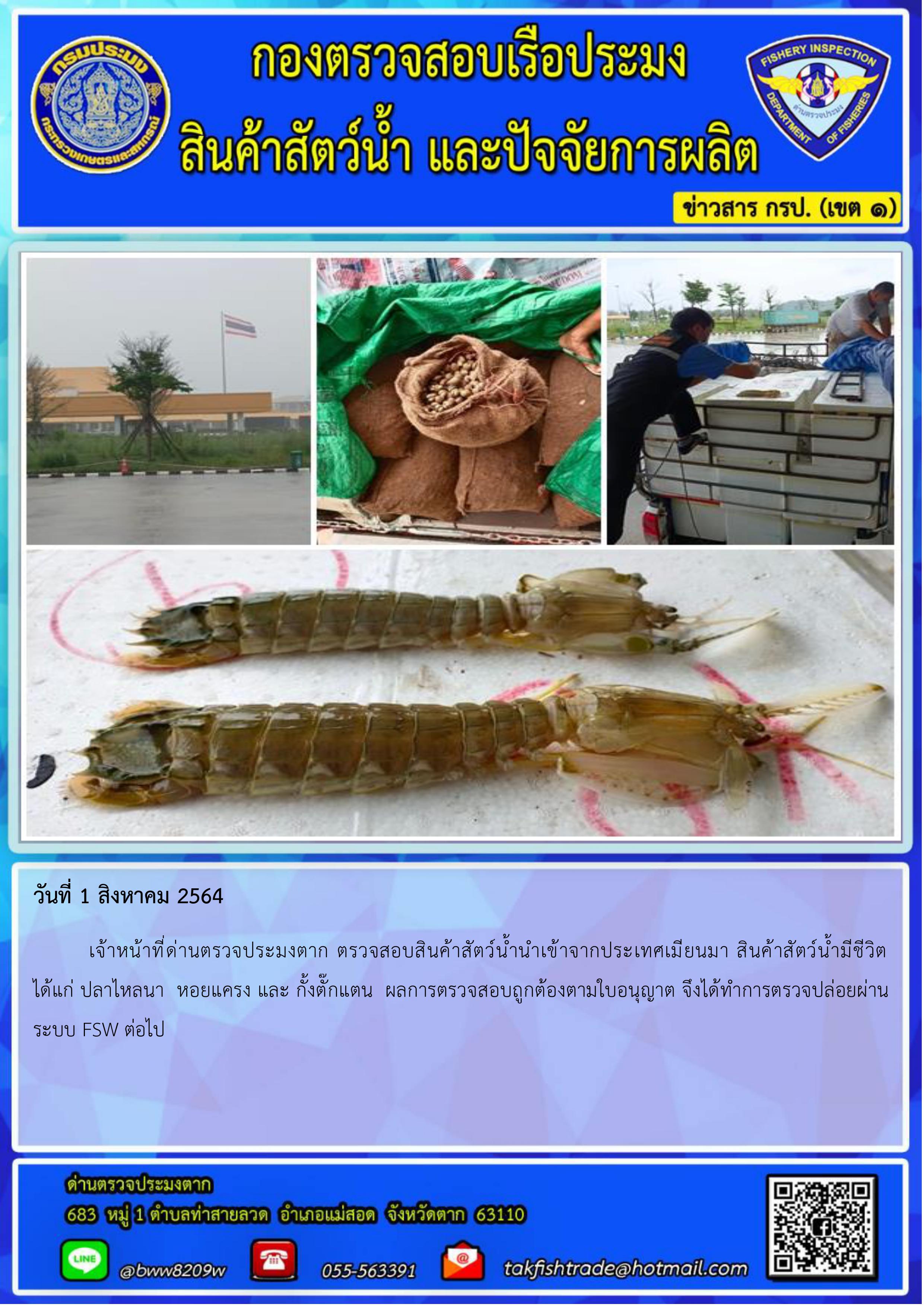 วันที่ 1 สิงหาคม 2564 เจ้าหน้าที่ด่านตรวจประมงตาก ตรวจสอบสินค้าสัตว์น้ำนำเข้าจากประเทศเมียนมา สินค้าสัตว์น้ำมีชีวิต ได้แก่ ปลาไหลนา  หอยแครง และ กั้งตั๊กแตน  ผลการตรวจสอบถูกต้องตามใบอนุญาต จึงได้ทำการตรวจปล่อยผ่านระบบ FSW ต่อไป..คลิก