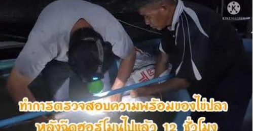 กรมประมง ตั้งชุดเฉพาะกิจเพาะพันธุ์ปลาเคลื่อนที่ด้วยชุด “Mobile hatchery”..คลิก