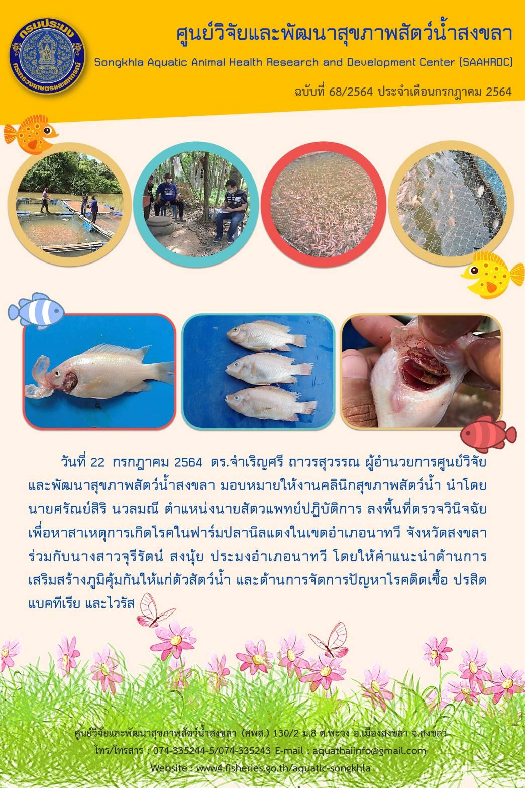 ฉบับที่ 68/2564 ศูนย์วิจัยและพัฒนาสุขภาพสัตว์น้ำสงขลา ลงพื้นที่ตรวจวินิจฉัย เพื่อหาสาเหตุการเกิดโรคในฟาร์มปลานิลแดงในเขตอำเภอนาทวี จังหวัดสงขลา..คลิก