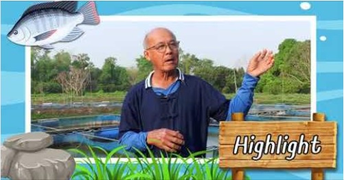 โครงการเพาะพันธุ์ปลานิลฝากลูกในกระชังโดยวิธีธรรมชาติ Ep.1..คลิก