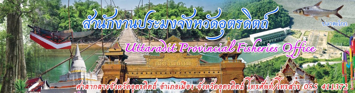 banner..คลิก