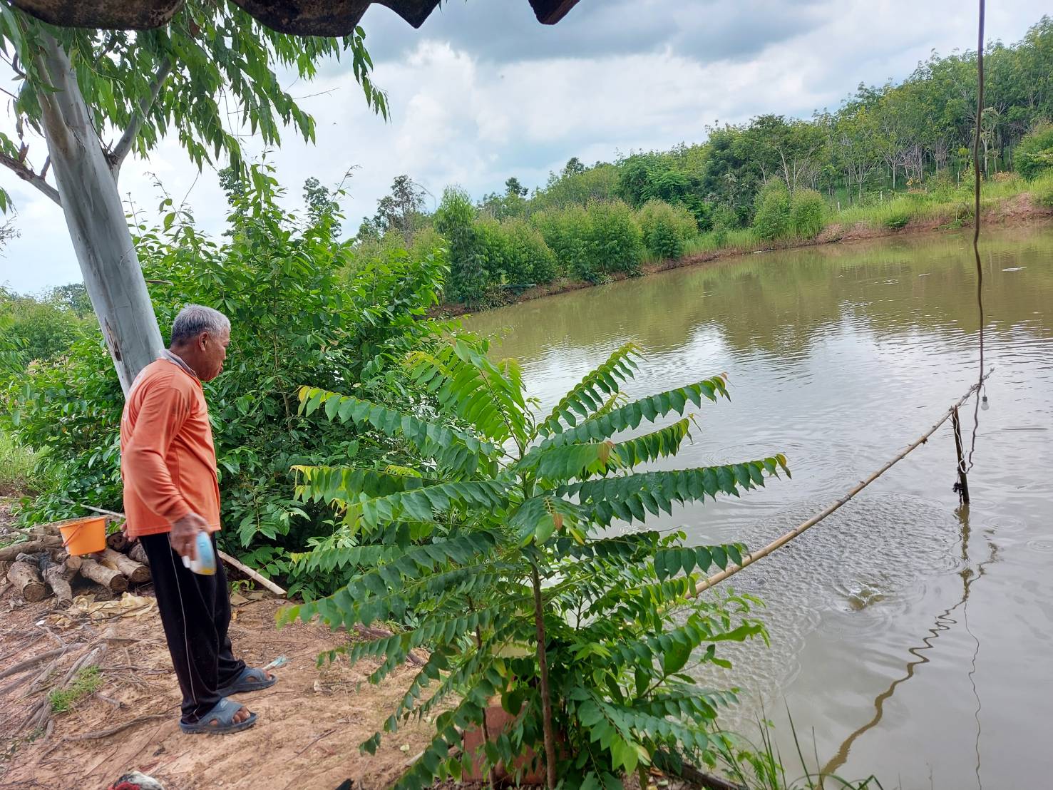 ประมงอำเภอพิบูลมังสาหาร ลงพื้นที่ติดตามประเมินผลผลิตสัตว์น้ำตามโครงการศูนย์เรียนรู้การเพิ่มประสิทธิภาพการผลิตสินค้าเกษตร ปี 2564..คลิก