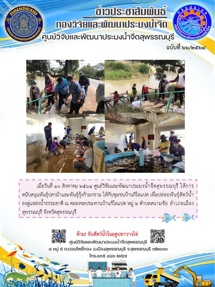 ข่าวประชาสัมพันธ์ฉบับที่66ประจำเดือนสิงหาคม 2564..คลิก