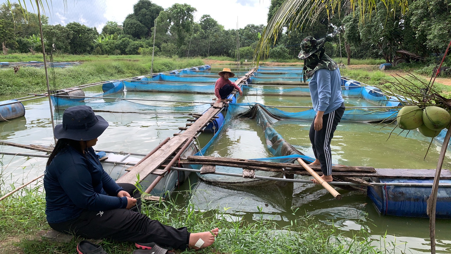 ตรวจเยี่ยมทีมงานเพาะพันธุ์ปลาปล่อยคืนสู่ธรรมชาติ ชุมชนบ้านวังดอกไม้