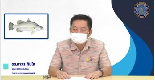 ขอเชิญรับชม สกู๊ปข่าวกรมประมง  “เรื่อง การใช้พื้นที่อย่างคุ้มค่า สู่การเลี้ยงสัตว์นำ้ที่ยั่งยืน” โดยพาไปชมเกษตรกรต้นแบบความสำเร็จในการเลี้ยงสัตว์นำ้บนพื้นที่จำกัด..คลิก