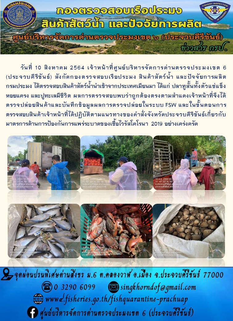 สินค้าสัตว์น้ำนำเข้าจากประเทศเมียนมา