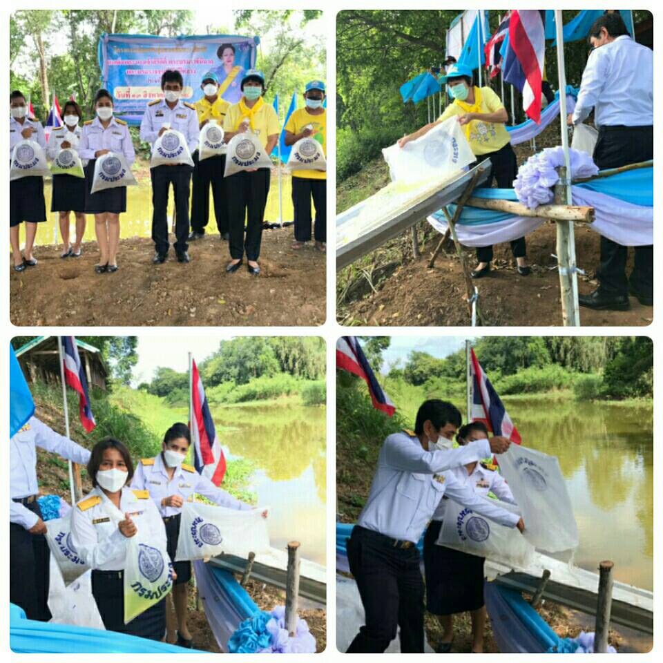 จัดพิธีมอบพันธุ์สัตว์น้ำเพื่อปล่อยเนื่องในโอกาสวันเฉลิมพระชนมพรรษา สมเด็จพระนางเจ้าสิริกิติ์ พระบรมราชินีนาถ พระบรมราชชนนีพันปีหลวง  ..คลิก