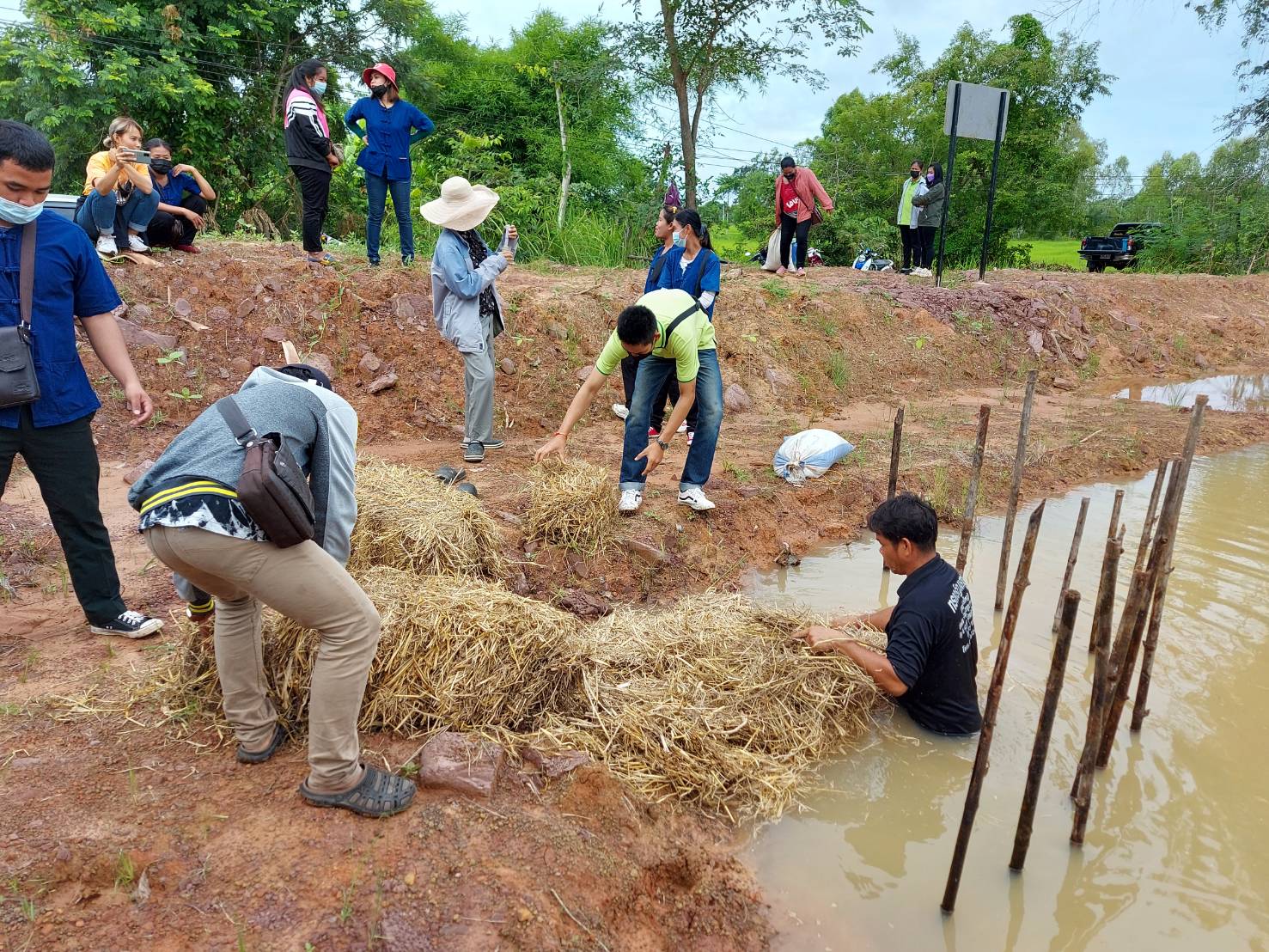 ประมงอำเภอพิบูลมังสาหาร รับผิดชอบงานด้านประมงอำเภอตาลสุม ลงพื้นที่แปลงนายพนม พิมรัตน์ม.5บ้านนามน  ต.ตาลสุม จ.อุบลฯเพื่อสาธิต วิธีการสร้างอาหารธรรมชาติเพื่อเตรียมอาหารก่อนปล่อยปลาลงเลี้ยง..คลิก