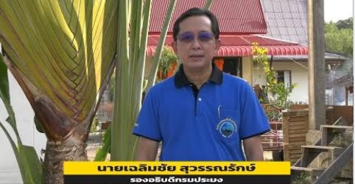 ขอเชิญรับชม สกู๊ปข่าวกรมประมง  “เรื่อง กรมประมง…กับการฟื้นฟูทรัพยากรปูทะเลอย่างยั่งยืน “  โดย : นายเฉลิมชัย สุวรรณรักษ์ รองอธิบดีกรมประมง..คลิก