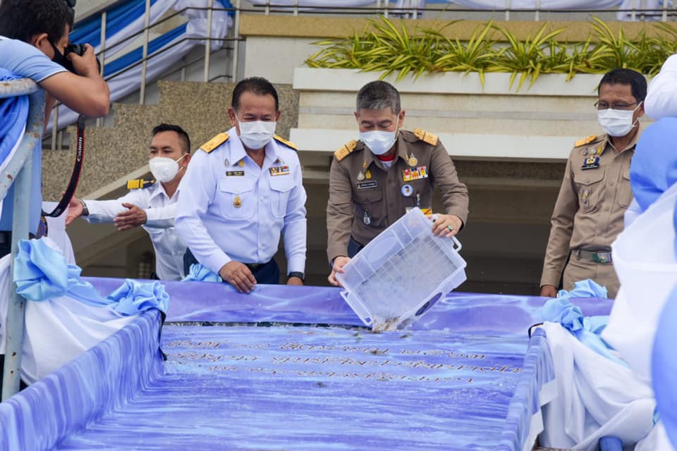 ประมงไทยใต้ร่มพระบารมี เทิดไท้พระบรมราชชนนีพันปีหลวง ตอน...กุ้งสมเด็จ..คลิก