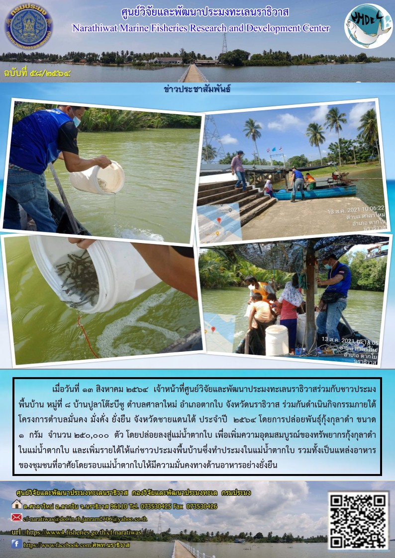 การปล่อยกุ้งกุลาดำขนาด 1 กรัมภายใต้โครงการตำบลมั่นคง มั่งคั่ง ยั่งยืน จังหวัดชายแดนใต้ 2564