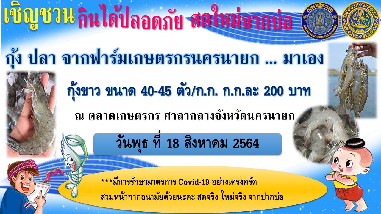 เปิดตลาดกุ้งขาว ราคาถูก เอาใจผู้บริโภค เริ่ม พรุ้งนี้เป็นต้นไป 18 สิงหาคม 2564
