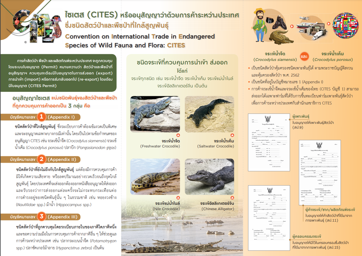 สำนักงานประมงจังหวัดสุพรรณบุรี แจ้งประชาสัมพันธ์ผู้ประกอบการนำเข้า ส่งออก และผู้เพาะเลี้ยงจระเข้ เพื่อทราบและปฏิบัติให้ถูกต้องตามระเบียบ เพื่อให้สอดคล้องตามพระราบัญญัติสงวนและคุ้มครองสัตวืป่า พ.ส. 2562 และบทบัญญัติของอนุสัญญาว่าด้วยการค้าระหว่างประเทศซึ่งชนิดสัตว์ป่าและพืชป่าที่ใกล้สูญพันธุ์ (CITES)..คลิก