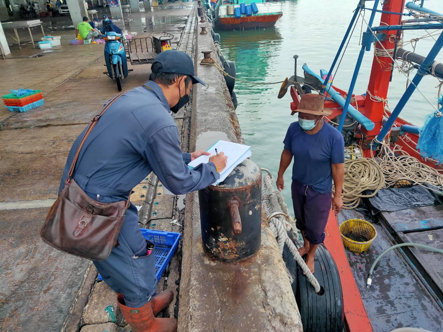 เมื่อวันที่ 5-6 สิงหาคม พ.ศ. 2564 เจ้าหน้าที่ศูนย์วิจัยและพัฒนาประมงทะเลสงขลา ออกปฏิบัติงานเก็บรวบรวมสภาวะการประมงจากเรืออวนครอบหมึก ที่ท่าเทียบเรือประมงสงขลา อำเภอเมือง จังหวัดสงขลา ขนาดเรือน้อยกว่า 30 ตันกรอส จำนวน 2 ลำ..คลิก