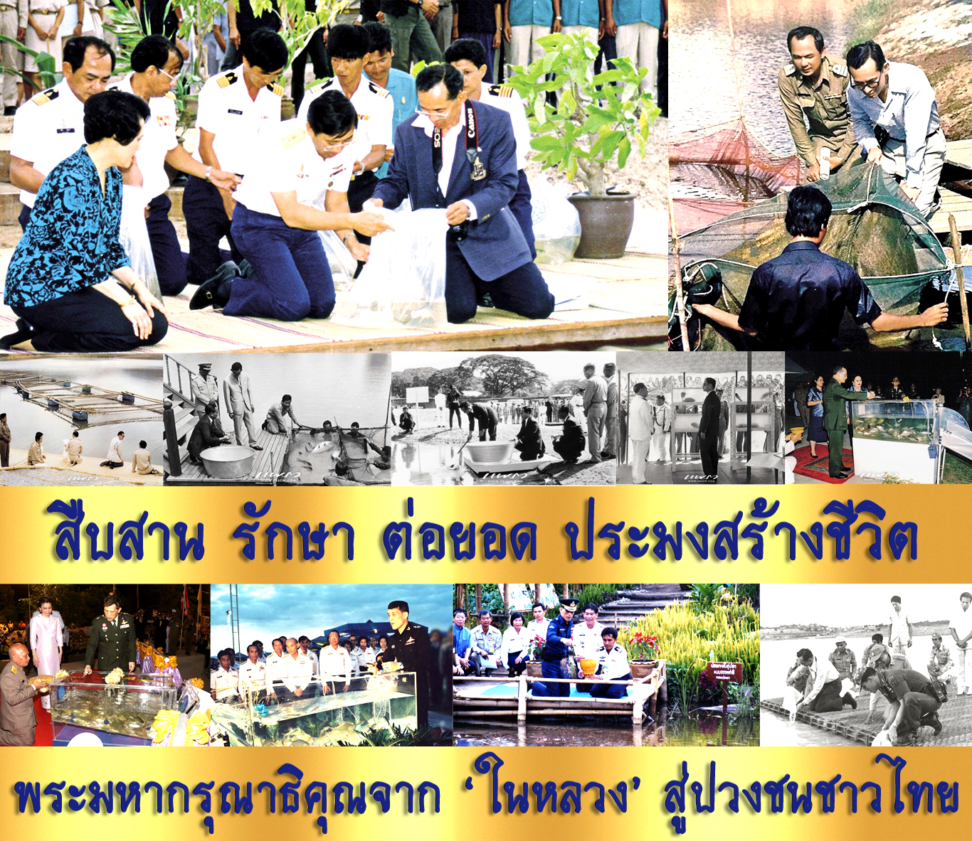 สืบสาน รักษา ต่อยอด ประมงสร้างชีวิต พระมหากรุณาธิคุณจาก ‘ในหลวง’ สู่ปวงชนชาวไทย..คลิก