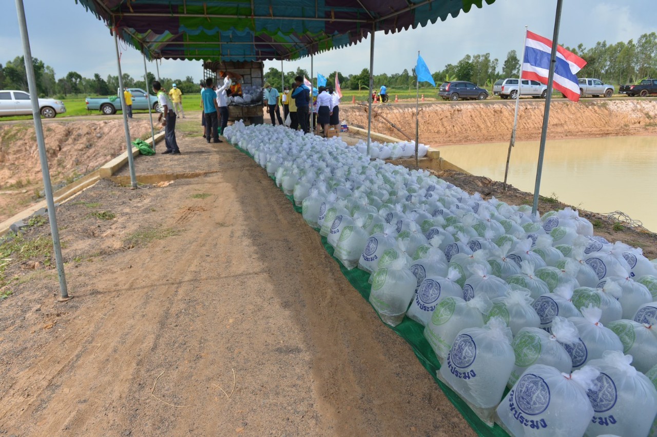 พิธีปล่อยพันธุ์สัตว์น้ำ เนื่องในโอกาสวันเฉลิมพระชนมพรรษา สมเด็จพระนางเจ้าสิริกิติ์ พระบรมราชินีนาถ พระบรมราชชนนีพันปีหลวง ปี 2564..คลิก