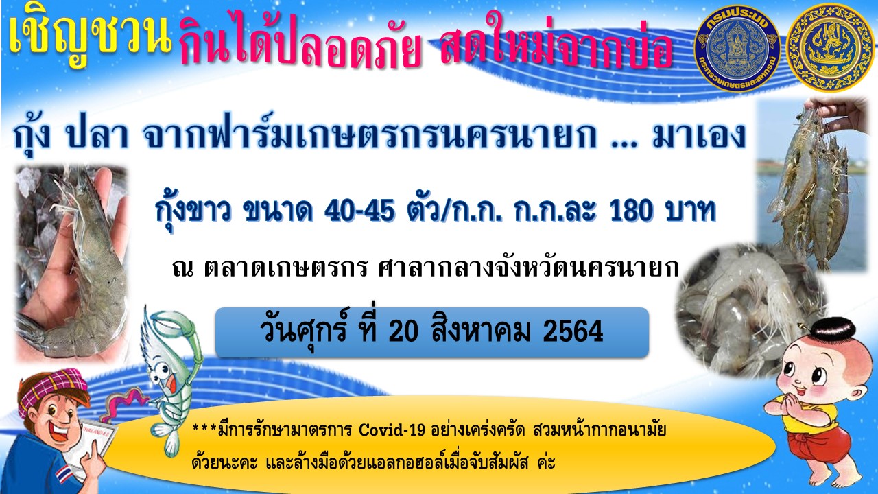เปิดตลาดกุ้งขาว ราคาถูก เอาใจผู้บริโภค เริ่ม พรุ้งนี้เป็นต้นไป 20 สิงหาคม 2564..คลิก