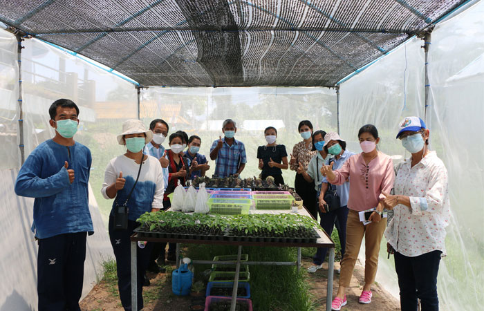 งานส่งเสริมการเกษตร ศูนย์ศึกษาการพัฒนาอ่าวคุ้งกระเบนฯ จัดอบรมการปลูกแคคตัสเพื่อเป็นรายได้เสริมแก่เกษตรกร