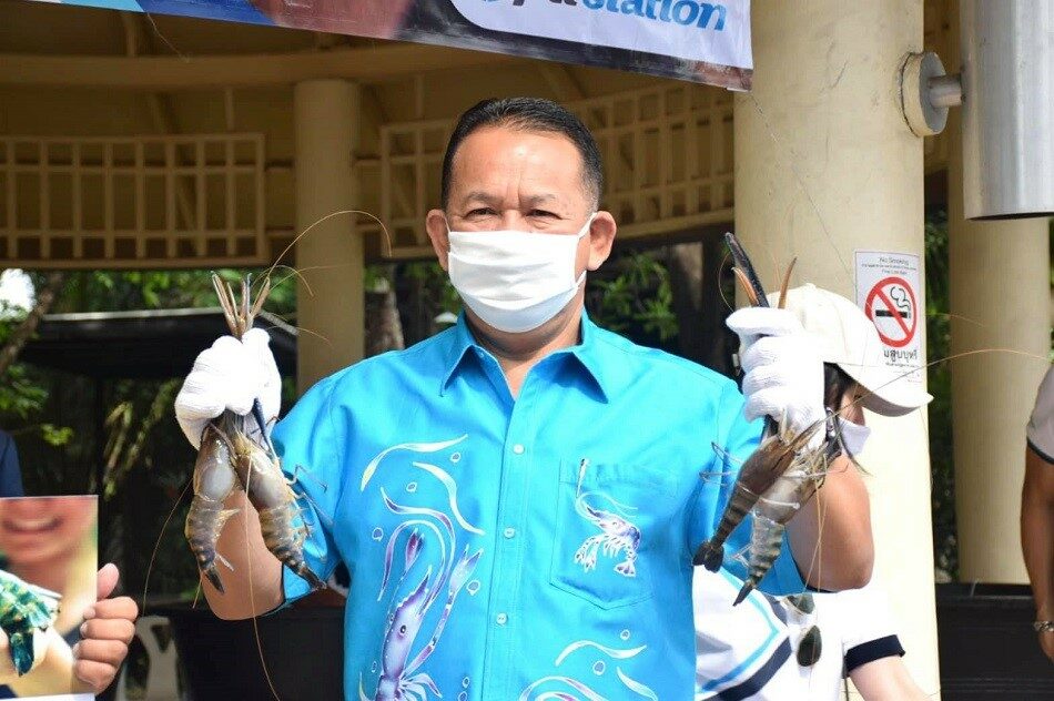 กรมประมง ไม่หยุดพัฒนาประมงท้องถิ่นทั้งชายฝั่งและน้ำจืด ปี 65 เพิ่มอีก 200 ชุมชน หลังโครงการพัฒนาอาชีพและส่งเสริมความเข้มแข็งของชุมชนประมงสำเร็จทะลุเป้า..คลิก