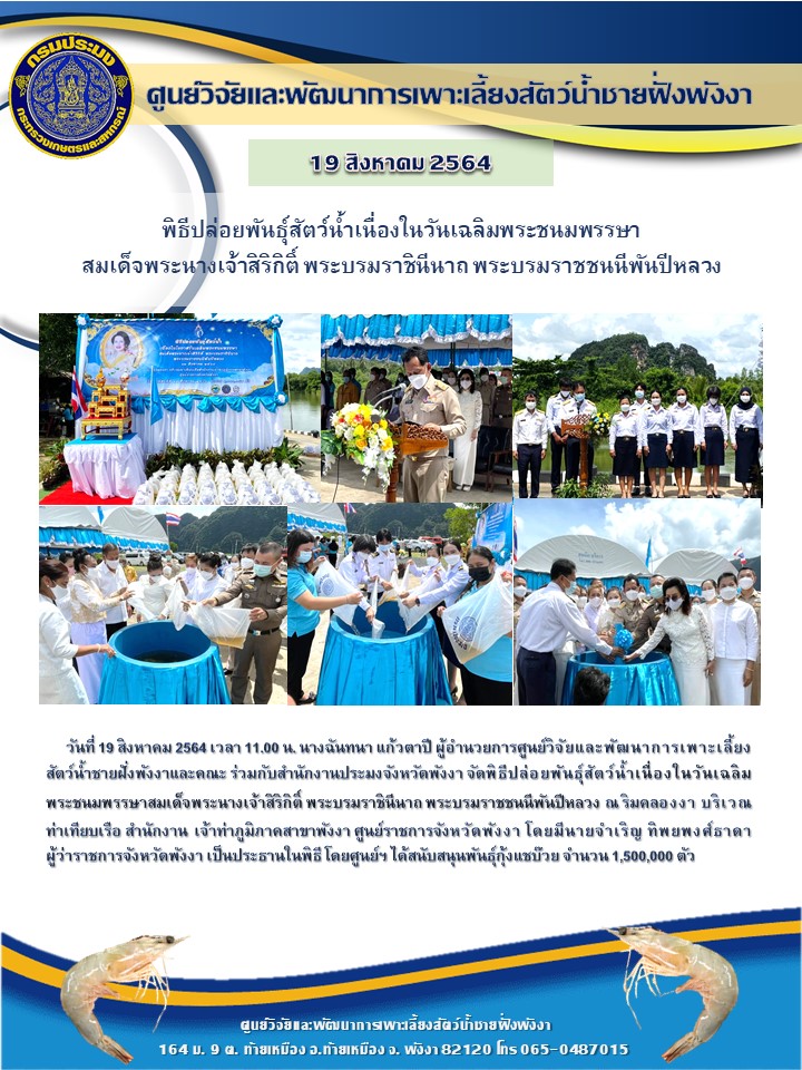 วันที่  19 สิงหาคม 2564เวลา 11.00 น.  นางฉันทนา แก้วตาปี ผู้อำนวยการศูนย์วิจัยและพัฒนาการเพาะเลี้ยงสัตว์น้ำชายฝั่งพังงาและข้าราชการ ร่วมกับสำนักงานประมงจังหวัดพังงา  จัดกิจกรรมปล่อยพันธุ์สัตว์น้ำ เนื่องในวันเฉลิมพระชนมพรรษาสมเด็จพระนางเจ้าสิริกิติ์ พระบรมราชินีนาถ พระบรมราชชนนีพันปีหลวง  ณ ริมคลองงา บริเวณท่าเทียบเรือสำนักงานเจ้าท่าภูมิภาคสาขาพังงา โดยมีนายจำเริญ ทิพยพงศ์ธาดา ผู้ว่าราชการจังหวัดพังงาเป็นประธาน โดยศูนย์ฯ สนับสนุนพันธู์กุ้งแชบ๊วย จำนวน 1,500,000 ตัว