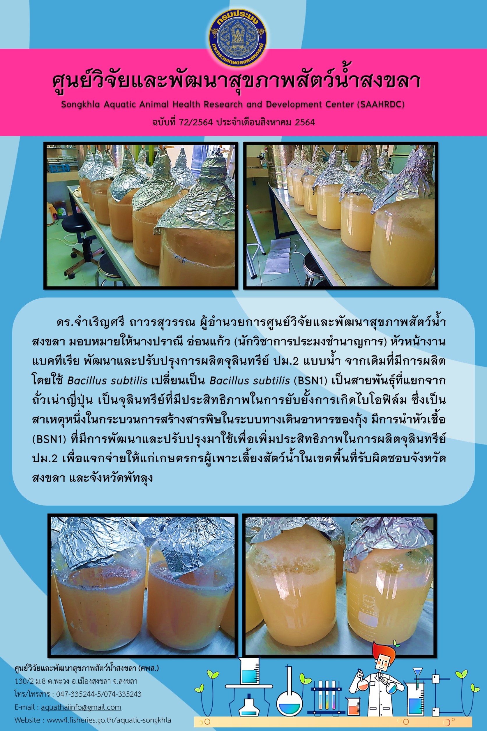 ฉบับที่ 72/2564 ศูนย์วิจัยและพัฒนาสุขภาพสัตว์น้ำสงขลา พัฒนาและปรับปรุงการผลิตจุลินทรีย์ ปม.2 แบบน้ำ จากเดิมที่มีการผลิต โดยใช้ Bacillus subtilis เปลี่ยนเป็น Bacillus subtilis (BSN1) เป็นสายพันธุ์ที่แยกจาก ถั่วเน่าญี่ปุ่น..คลิก
