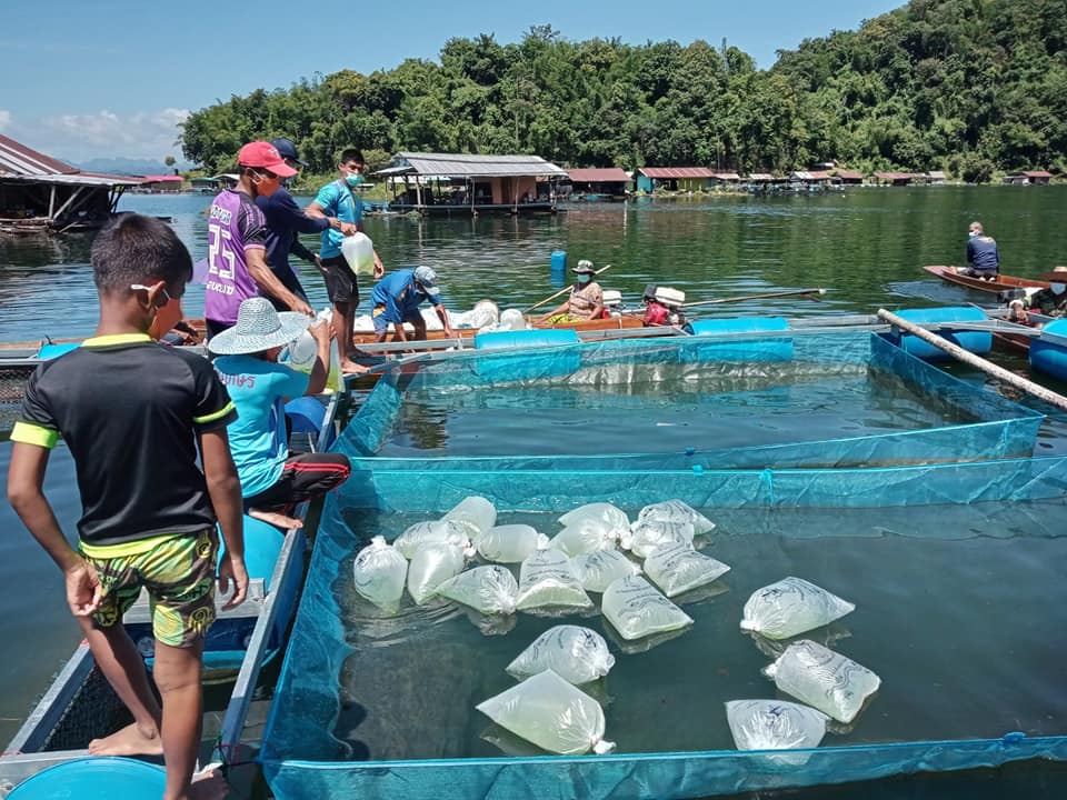 โครงการเสริมสร้างการมีส่วนร่วมของชุมชนประมงบ้านโชคดีสุพรรณ..คลิก