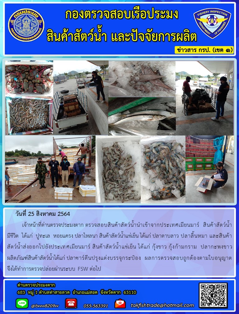 วันที่ 25 สิงหาคม 2564    เจ้าหน้าที่ด่านตรวจประมงตาก ตรวจสอบสินค้าสัตว์น้ำนำเข้าจากประเทศเมียนมาร์  สินค้าสัตว์น้ำ      มีชีวิต  ได้แก่  ปูทะเล  หอยแครง ปลาไหลนา สินค้าสัตว์น้ำแช่เย็น ได้แก่ ปลาดาบลาว ปลาลิ้นหมา และสินค้าสัตว์น้ำส่งออกไปยังประเทศเมียนมาร์ สินค้าสัตว์น้ำแช่เย็น ได้แก่ กุ้งขาว กุ้งก้ามกราม  ปลากะพงขาว  ผลิตภัณฑ์สินค้าสัตว์น้ำได้แก่ ปลาซาร์ดีนปรุงแต่งบรรจุกระป๋อง  ผลการตรวจสอบถูกต้องตามใบอนุญาต     จึงได้ทำการตรวจปล่อยผ่านระบบ FSW ต่อไป