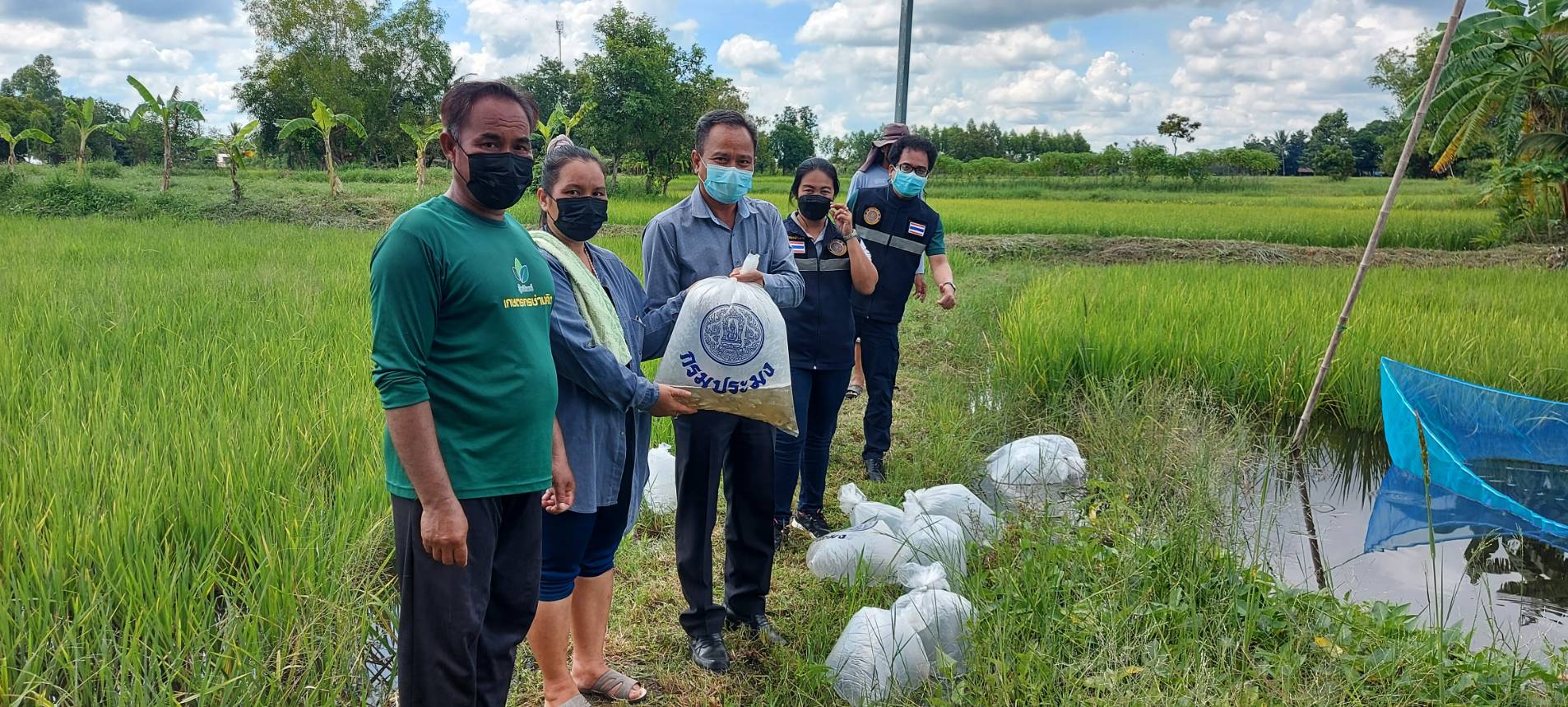 ประมงจังหวัดอุบลราชธานีและคณะร่วมมอบพันธุ์ปลากินพืช จำนวน 1,500 ตัว ให้กับเกษตรที่เลี้ยงปลาในนาข้าวอินทรีย์ บ้านบุ่ง หมู่ที่ 4 ตำบลโนนกาเล็น อำเภอสำโรง จังหวัดอุบลราชธานี..คลิก