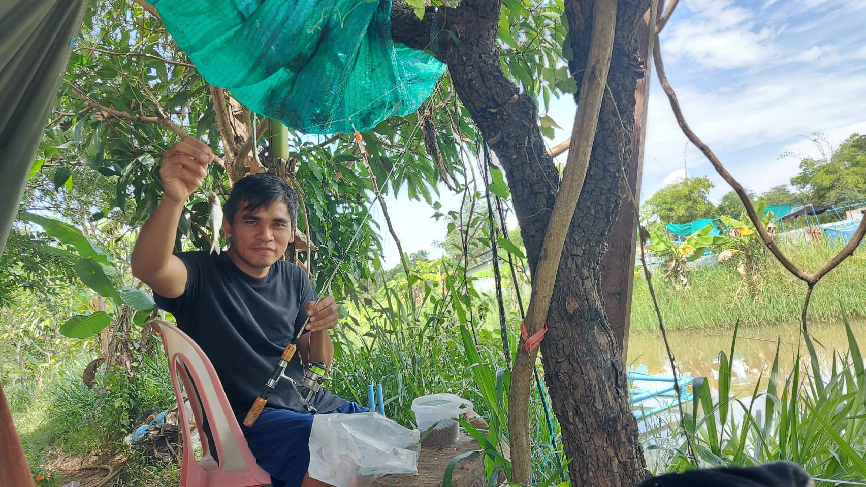 ประมงอำเภอม่วงสามสิบ ติดตามการดำเนินงานและเก็บผลผลิตโครงการศูนย์เรียนรู้ฯ ทั้งศพก.หลักและศพก.เครือข่ายฯ อ.เหล่าเสือโก้ก จ.อุบลราชธานี..คลิก