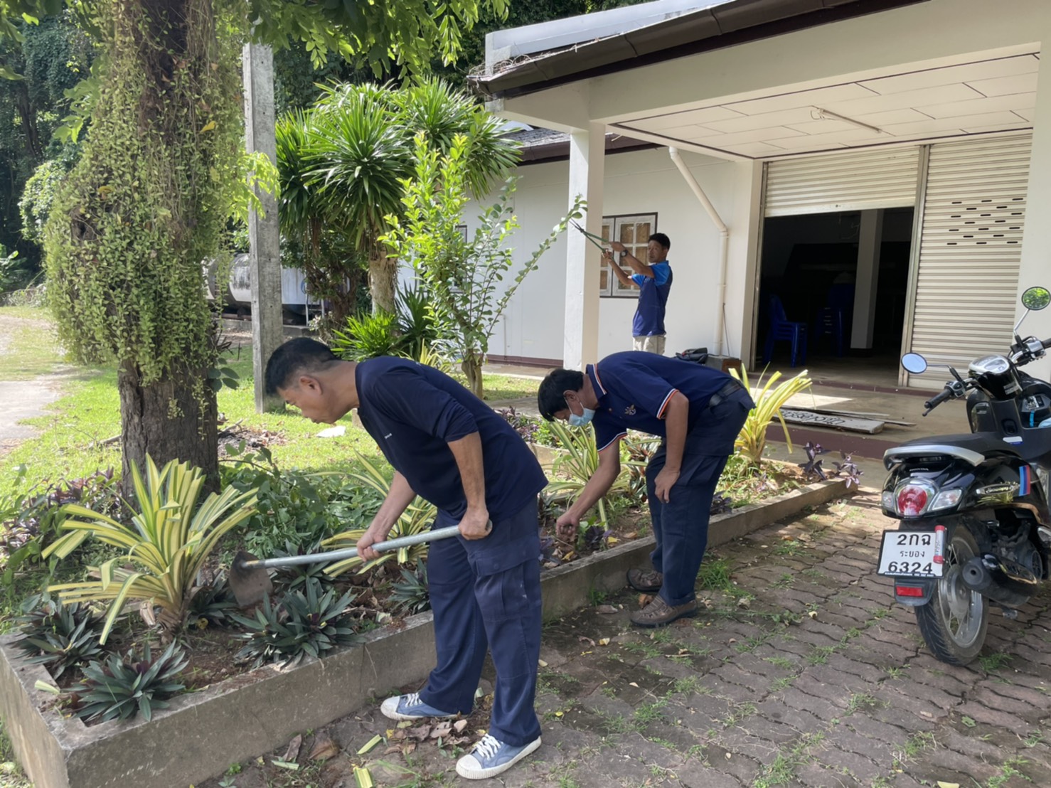 ศูนย์ป้องกันและปราบปรามประมงทะเลระยอง ร่วมกันพัฒนา ปรับปรุงภูมิทัศน์บริเวณศูนย์ป้องกันและปราบปรามประมงทะเลระยอง..คลิก