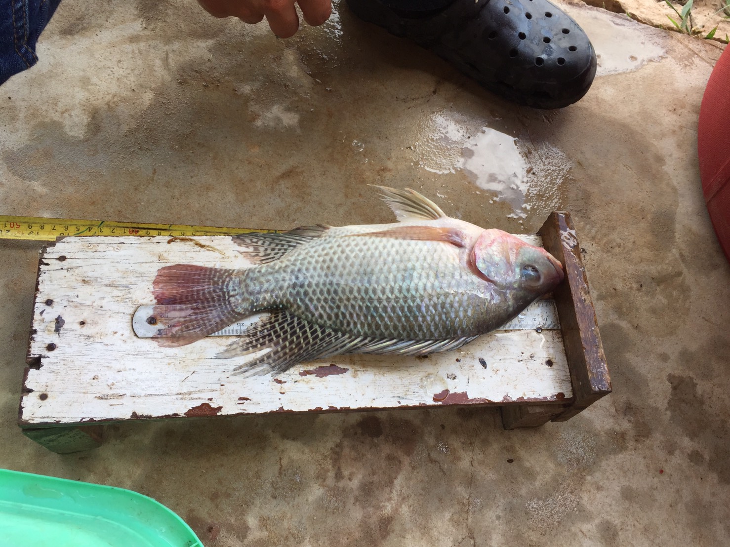 ติดตามโครงการธนาคารสัตว์น้ำ ปี 2564..คลิก