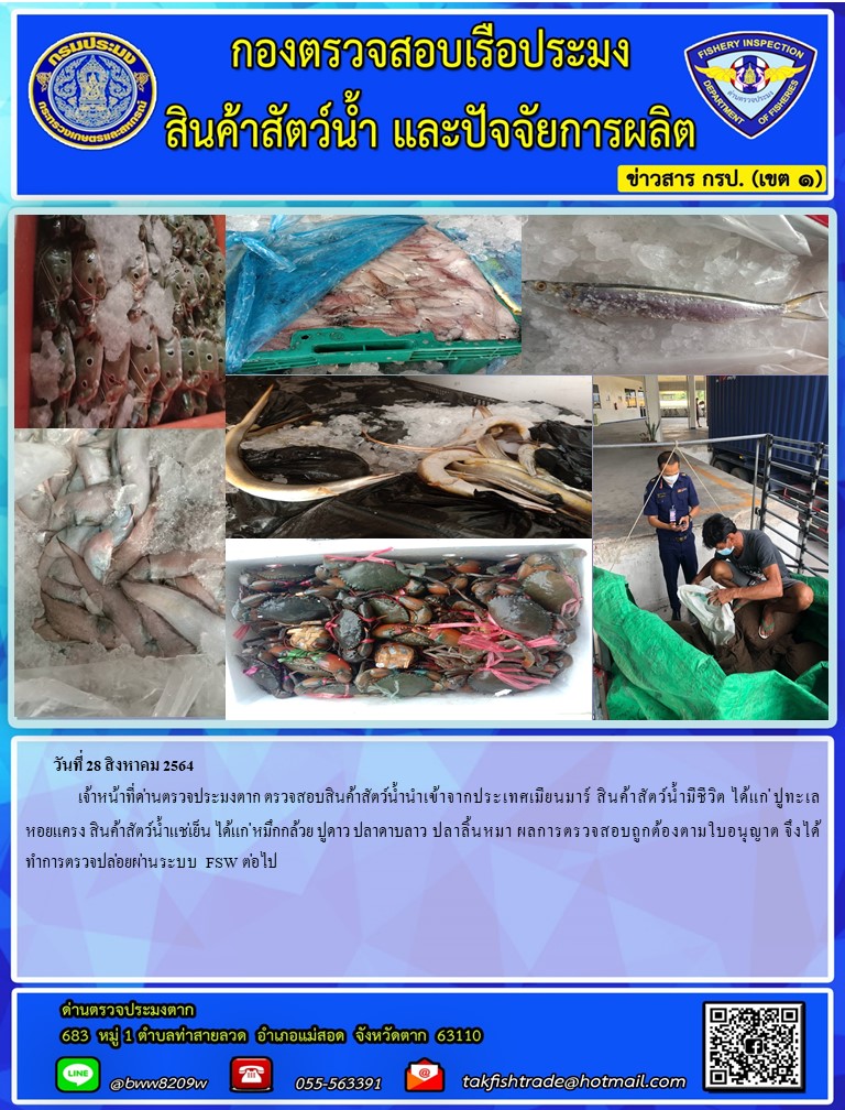 วันที่ 28 สิงหาคม 2564  	เจ้าหน้าที่ด่านตรวจประมงตาก ตรวจสอบสินค้าสัตว์น้ำนำเข้าจากประเทศเมียนมาร์ สินค้าสัตว์น้ำมีชีวิต ได้แก่ ปูทะเล  หอยแครง สินค้าสัตว์น้ำแช่เย็น ได้แก่ หมึกกล้วย ปูดาว ปลาดาบลาว ปลาลิ้นหมา ผลการตรวจสอบถูกต้องตามใบอนุญาต จึงได้ทำการตรวจปล่อยผ่านระบบ FSW ต่อไป..คลิก