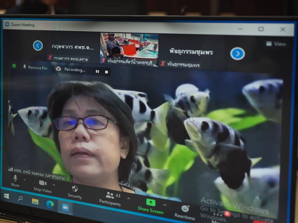 นายเฉลิมชัย สุวรรณรักษ์ รองอธิบดีกรมประมง เป็นประธานการประชุมคณะกรรมการดำเนินงานโครงการอนุรักษ์พันธุกรรมพืชอันเนื่องมาจากพระราชดำริ สมเด็จพระเทพรัตนราชสุดา ฯ สยามบรมราชกุมารี กรมประมง (อพ.สธ. - กปม.) ประจำปีงบประมาณ 2564 ครั้งที่ 1/2564..คลิก