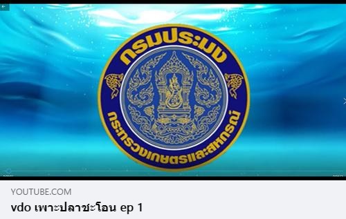 ขอเชิญรับชมวีดิทัศน์   “ เรื่อง การเพาะพันธุ์ปลาชะโอน Ep.1 ”..คลิก