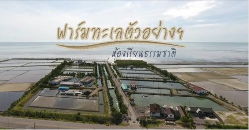 ขอเชิญรับชมสกู๊ปข่าว สืบสาน สร้างสุขปวงประชา  “เรื่อง ฟาร์มทะเลตัวอย่างฯ ห้องเรียนธรรมชาติ”..คลิก