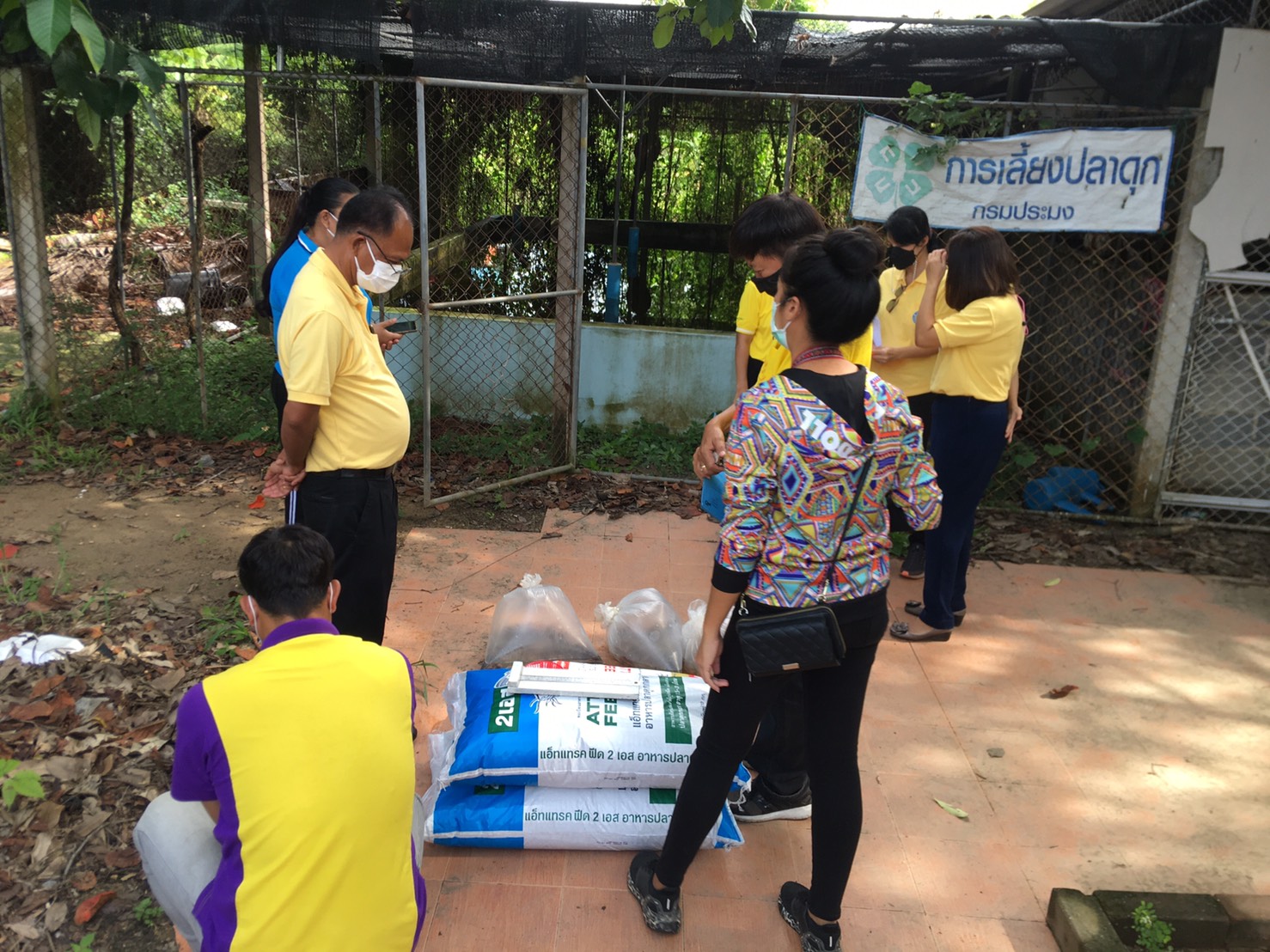 วันที่  30 สิงหาคม 2564 นายนรินทร์ มีวงศ์ ประมงจังหวัดปทุมธานี มอบหมายให้  นางสาวชนิกานต์ โชติมา หัวหน้ากลุ่มพัฒนาและส่งเสริมอาชีพด้านการประมง นายสมพงศ์ จิตหมั่น ประมงอำเภอลำลูกกา และเจ้าหน้าที่สำนักงานประมงจังหวัดปทุมธานี มอบปัจจัยการผลิต (พันธุ์ปลาและอาหารปลา) แก่โรงเรียนตามโครงการพระราชดำริฯ เพื่อดำเนินกิจกรรมการเลี้ยงปลาในบ่อโรงเรียนตามโครงการ ฯ จำนวน 4 โรงเรียน ในพื้นที่อำเภอลำลูกกา จังหวัดปทุมธานี