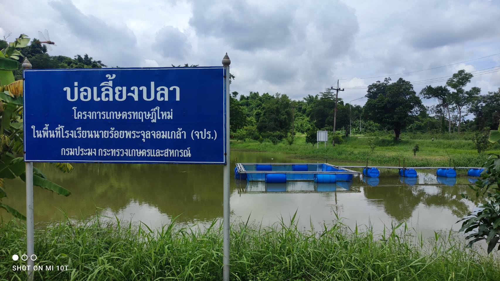 เลี้ยงปลาในนาข้าว ลงทุนน้อย ผลตอบแทนสูง