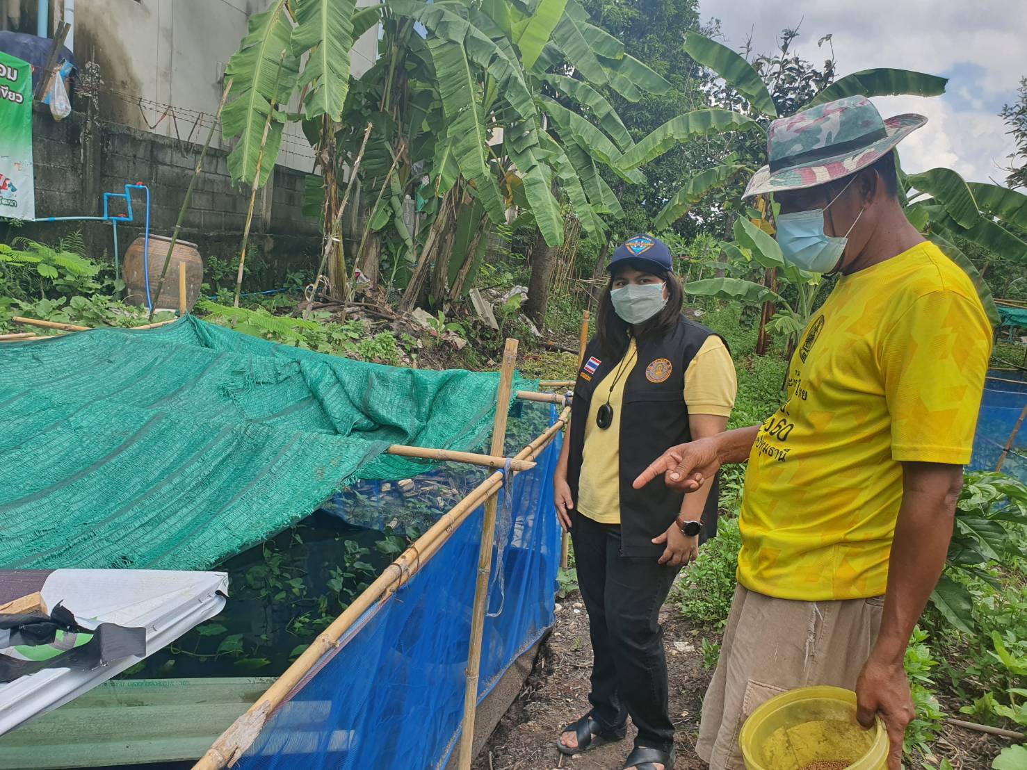 (อ.บางกรวย) ติดตามเกษตรกรโครงการส่งเสริมการเลี้ยงสัตว์น้ำจืด (กบ/ปลาดุก) ในกระชังบก..คลิก