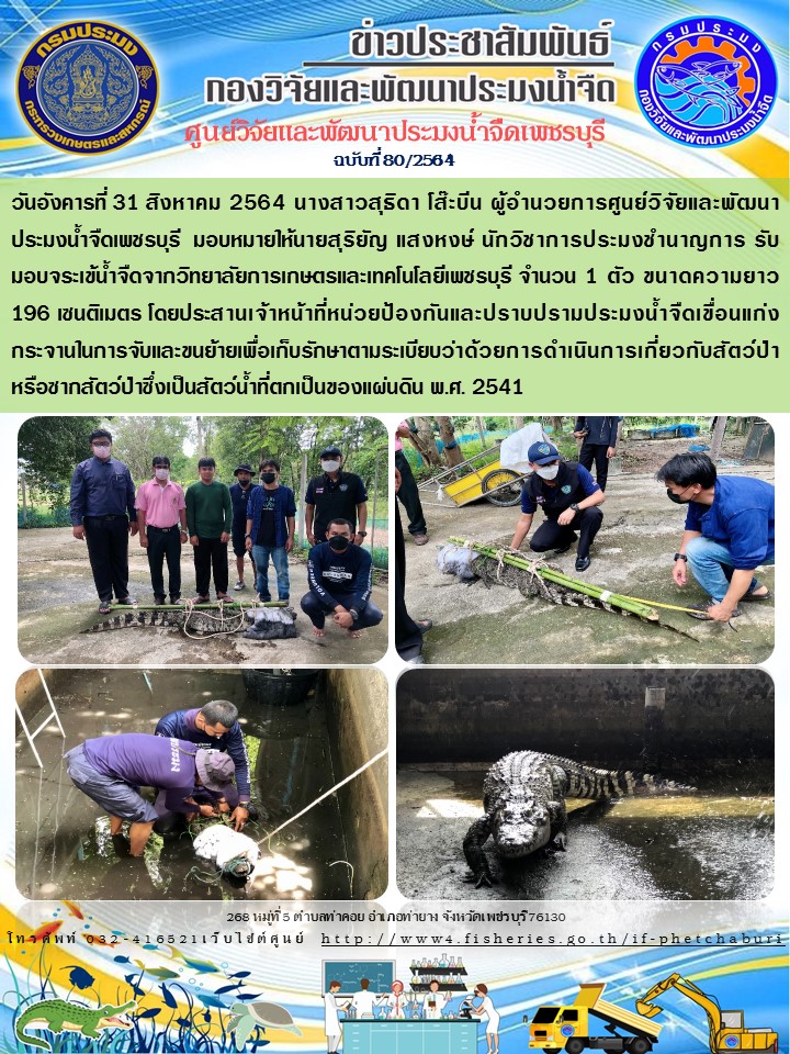 ข่าวประชาสัมพันธ์ครั้งที่ 80/2564
