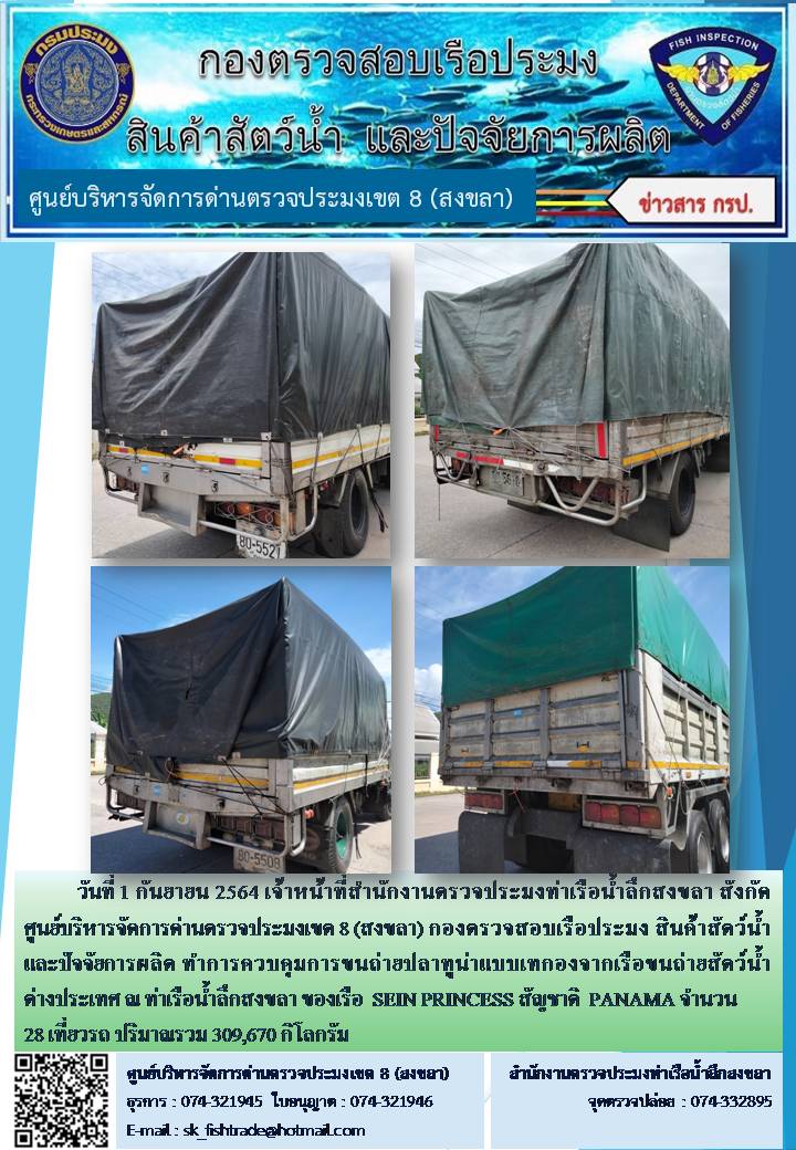 วันที่ 1 กันยายน 2564 เจ้าหน้าที่สำนักงานตรวจประมงท่าเรือน้ำลึกสงขลา สังกัด ศูนย์บริหารจัดการด่านตรวจประมงเขต 8 (สงขลา) กองตรวจสอบเรือประมง สินค้าสัตว์น้ำ และปัจจัยการผลิต ทำการควบคุมการขนถ่ายปลาทูน่าแบบเทกองจากเรือขนถ่ายสัตว์น้ำต่างประเทศ ณ ท่าเรือน้ำลึกสงขลา ของเรือ  SEIN PRINCESS สัญชาติ  PANAMA..คลิก