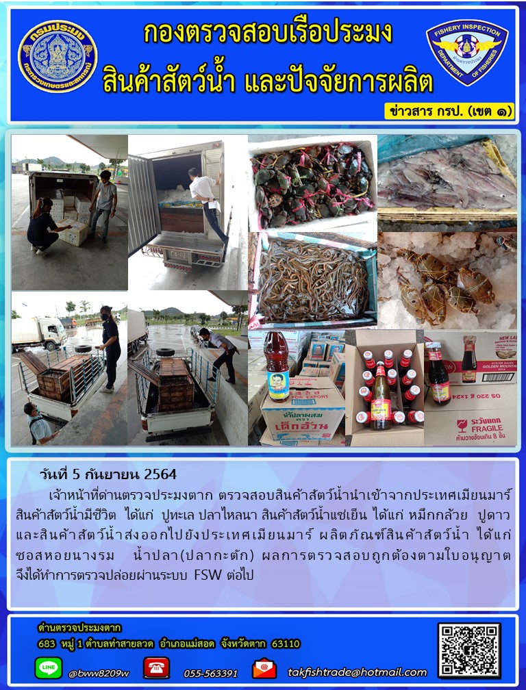 วันที่ 5 กันยายน 2564   	เจ้าหน้าที่ด่านตรวจประมงตาก ตรวจสอบสินค้าสัตว์น้ำนำเข้าจากประเทศเมียนมาร์  สินค้าสัตว์น้ำมีชีวิต  ได้แก่  ปูทะเล ปลาไหลนา สินค้าสัตว์น้ำแช่เย็น ได้แก่ หมึกกล้วย  ปูดาว              และสินค้าสัตว์น้ำส่งออกไปยังประเทศเมียนมาร์ ผลิตภัณฑ์สินค้าสัตว์น้ำ ได้แก่    ซอสหอยนางรม   น้ำปลา(ปลากะตัก) ผลการตรวจสอบถูกต้องตามใบอนุญาต    จึงได้ทำการตรวจปล่อยผ่านระบบ FSW ต่อไป..คลิก