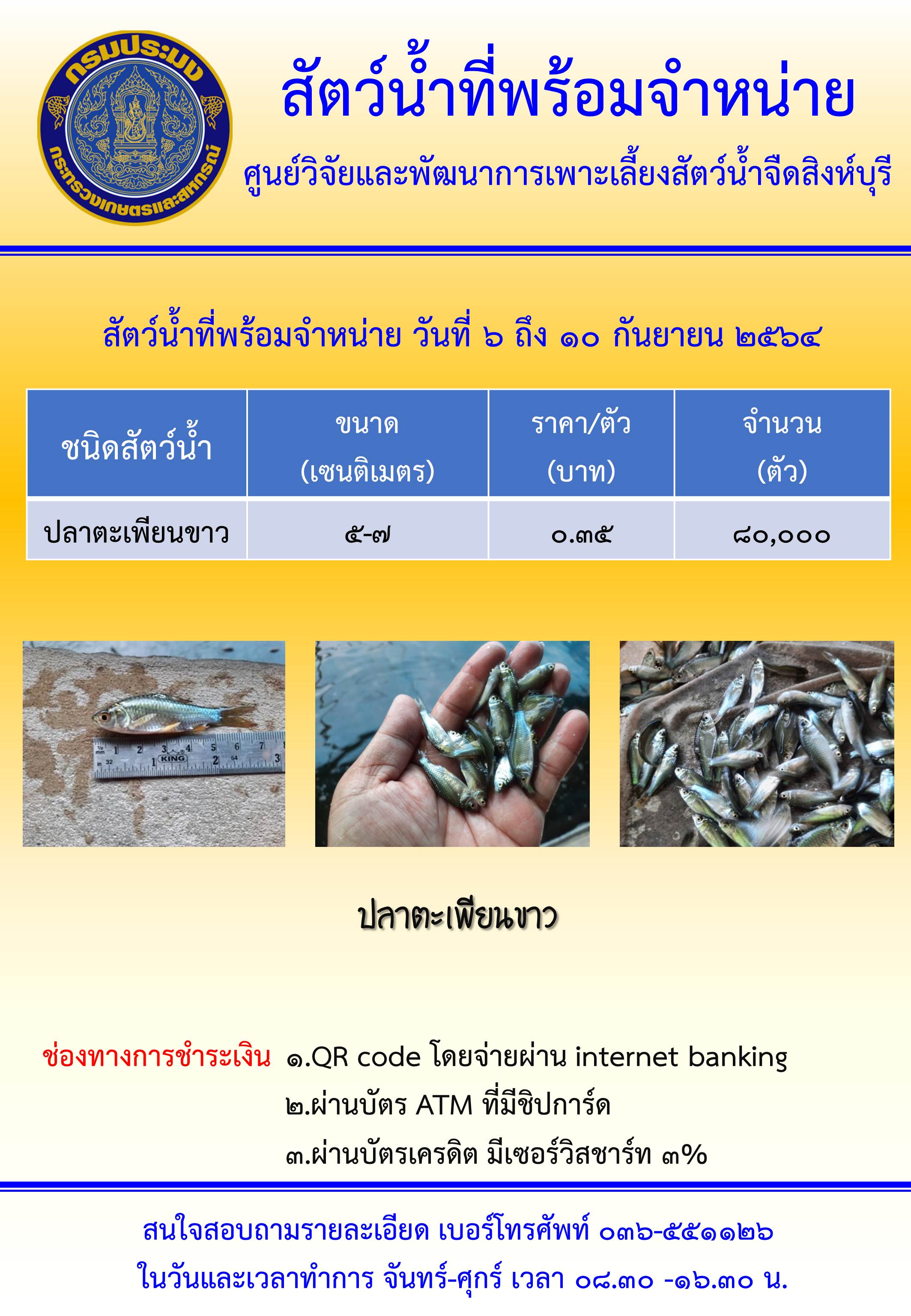 สัตว์น้ำที่พร้อมจำหน่ายวันที่ 6-10 กันยายน พ.ศ. 2564..คลิก