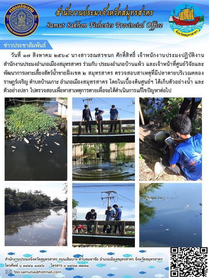 ตรวจสอบสาเหตุที่มีปลาตาย..คลิก