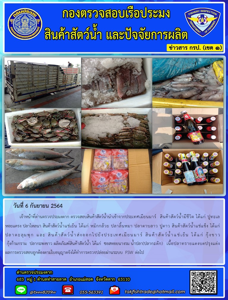 วันที่ 6 กันยายน 2564    เจ้าหน้าที่ด่านตรวจประมงตาก ตรวจสอบสินค้าสัตว์น้ำนำเข้าจากประเทศเมียนมาร์  สินค้าสัตว์น้ำมีชีวิต ได้แก่ ปูทะเล หอยแครง ปลาไหลนา สินค้าสัตว์น้ำแช่เย็น ได้แก่ หมึกกล้วย ปลาลิ้นหมา ปลาดาบลาว ปูดาว สินค้าสัตว์น้ำแช่แข็ง ได้แก่ ปลาตะลุมพุก  และสินค้าสัตว์น้ำส่งออกไปยังประเทศเมียนมาร์ สินค้าสัตว์น้ำแช่เย็น ได้แก่ กุ้งขาว  กุ้งก้ามกราม  ปลากะพงขาว ผลิตภัณฑ์สินค้าสัตว์น้ำ ได้แก่  ซอสหอยนางรม น้ำปลา(ปลากะตัก)  เนื้อปลาทรายแดงบดปรุงแต่ง                            ผลการตรวจสอบถูกต้องตามใบอนุญาตจึงได้ทำการตรวจปล่อยผ่านระบบ FSW ต่อไป..คลิก