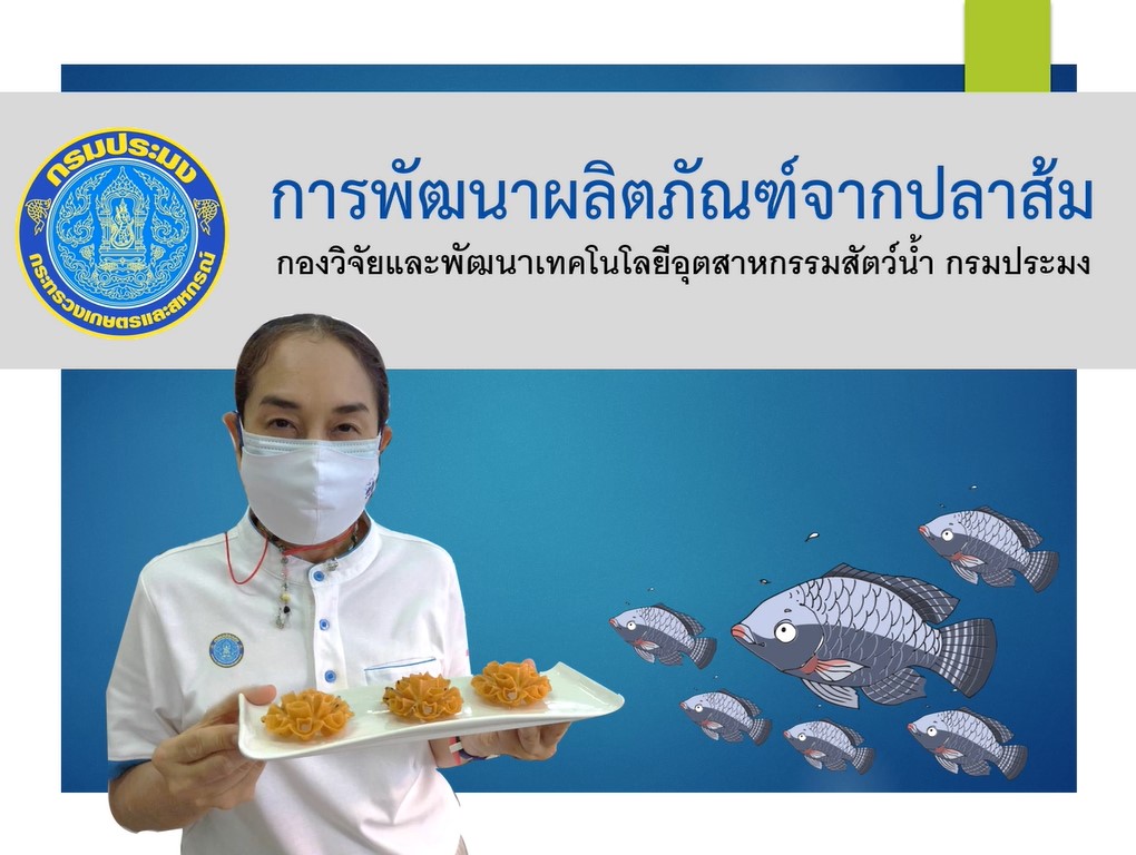 นำปลาส้มมาแปรรูปเป็นผลิตภัณฑ์กันเถอะ (ผงโรยข้าว ฟูริกาเกะ ขนมดอกจอก ขนมไทยโบราณ)