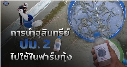 เปิดตัวแล้วววว  หัวเชื้อจุลินทรีย์ ปม.2  