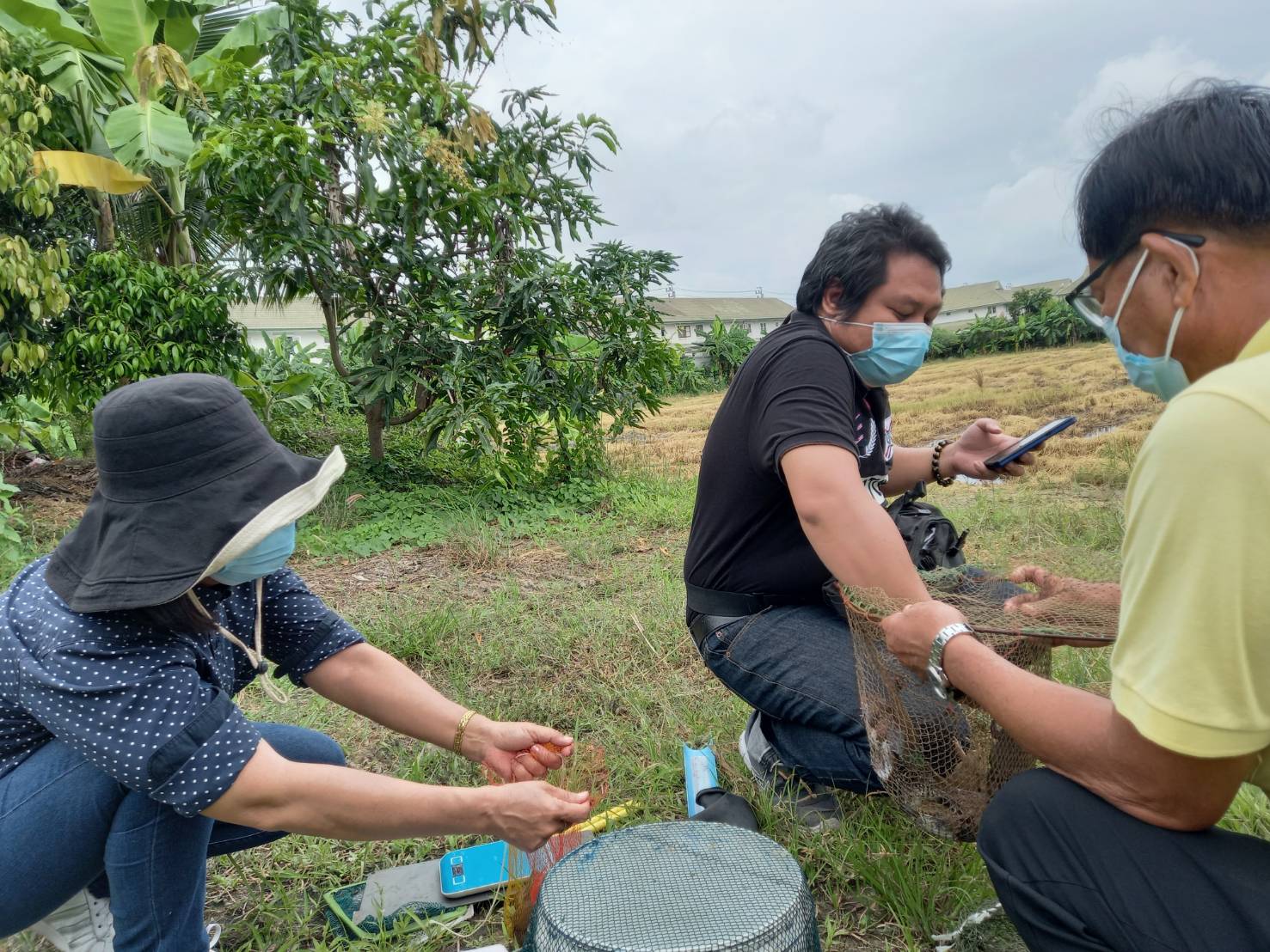 (อ.บางใหญ่) เก็บข้อมูลโครงการส่งเสริมการเพาะเลี้ยงสัตว์น้ำ (ปลาดุก/กบ) ในกระชังบก..คลิก