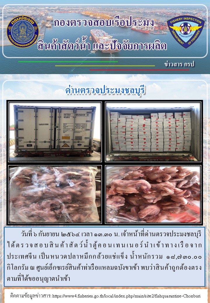 การปฏิบัติงานของเจ้าหน้าที่ด่านตรวจประมงชลบุรีประจำวันที่ 6 กันยายน 2564..คลิก